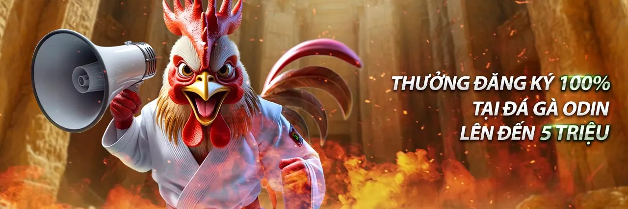 Sòng bạc trực tuyến OK9 với các trò chơi hấp dẫn